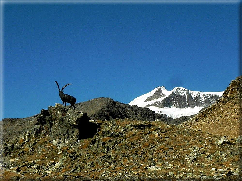 foto Corno del Camoscio